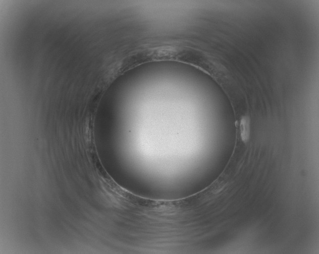 X0000054381395200508121554