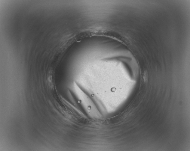 X0000054381396200508121554