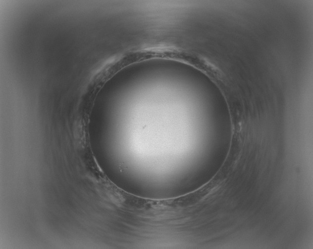 X0000054381398200508121554