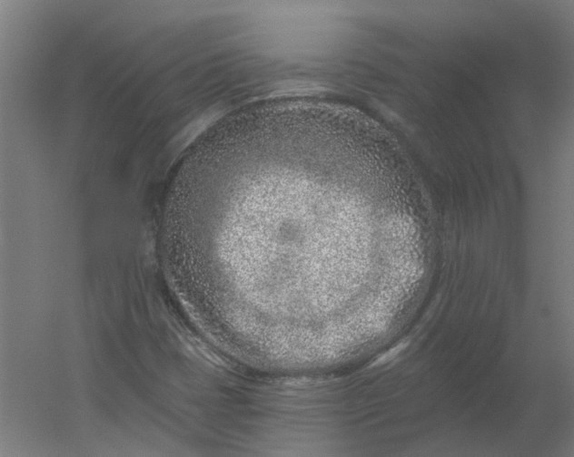 X0000054381401200508121554
