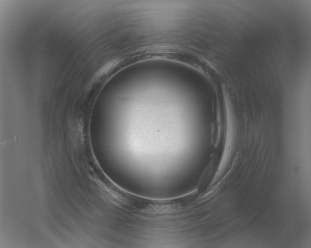 X0000054381402200508121554