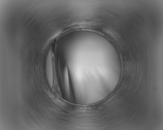 X0000054381403200508121554