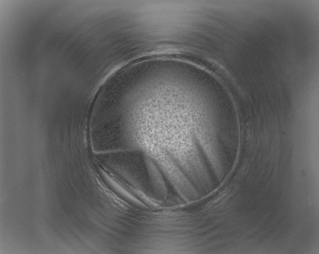 X0000054381409200508121554