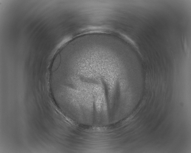 X0000054381411200508121554