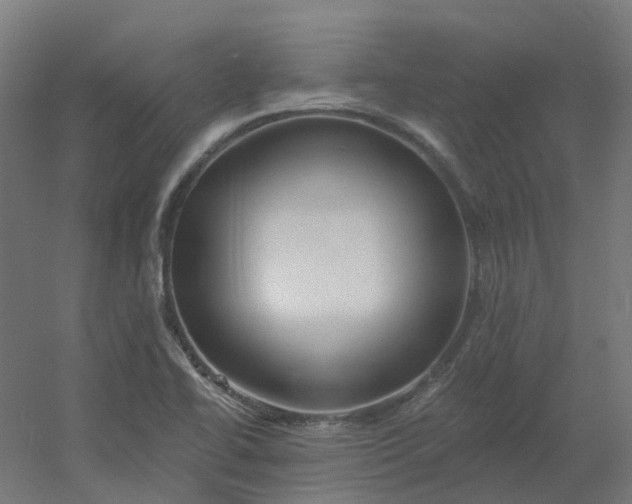 X0000054381414200508121554