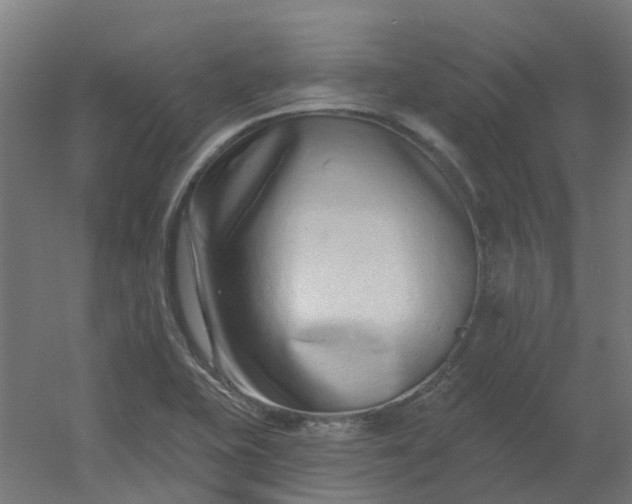 X0000054381415200508121554