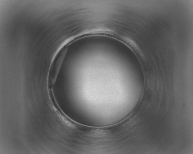 X0000054381420200508121554