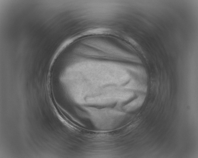 X0000054381421200508121554