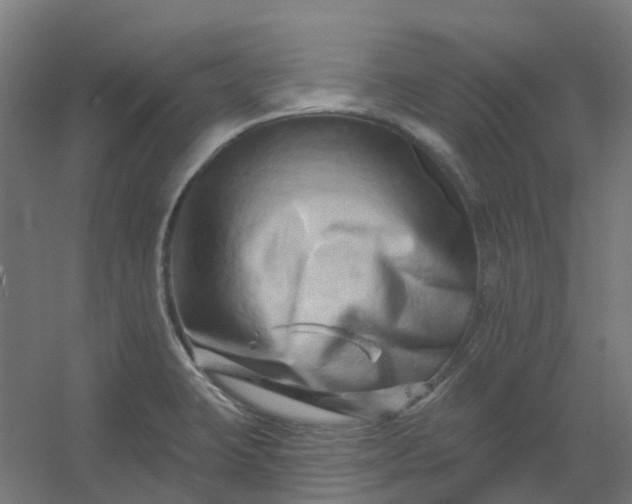 X0000054381423200508121554