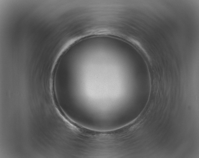 X0000054381424200508121554