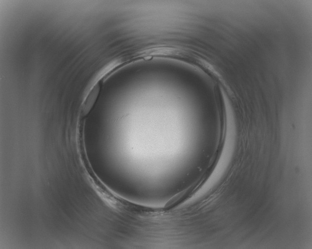 X0000054381426200508121555