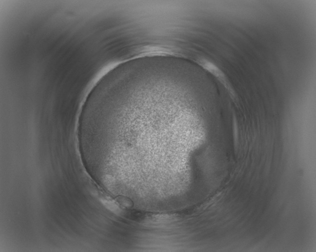 X0000054381427200508121555