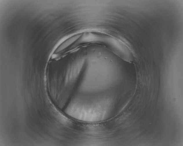 X0000054381428200508121555