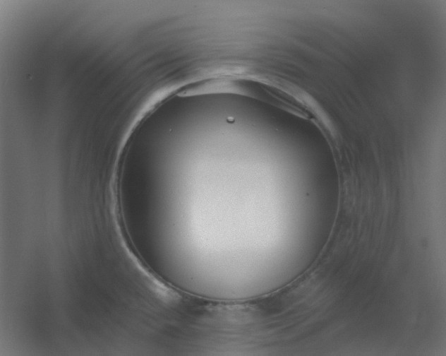 X0000054381432200508121555