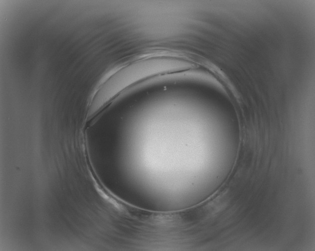 X0000054381433200508121555