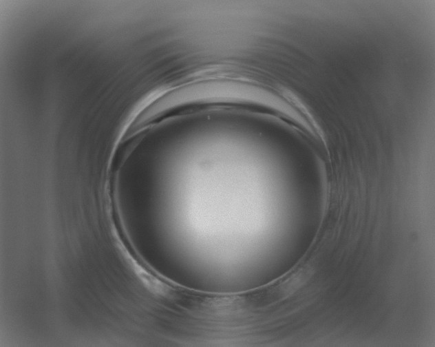 X0000054381434200508121555