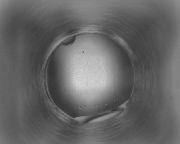 X0000054381435200508121555