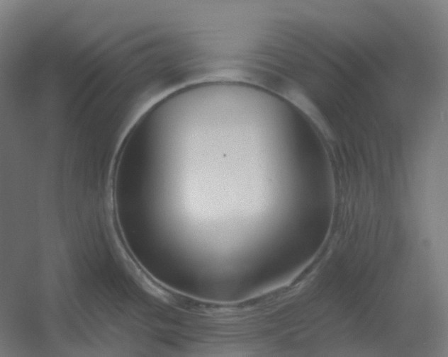 X0000054381436200508121555