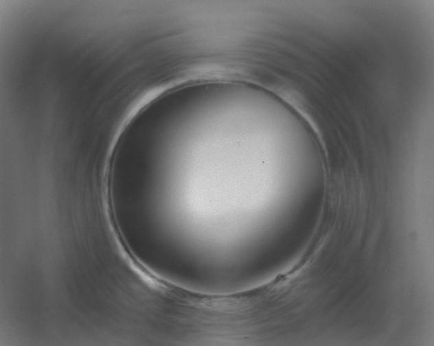X0000054381437200508121555