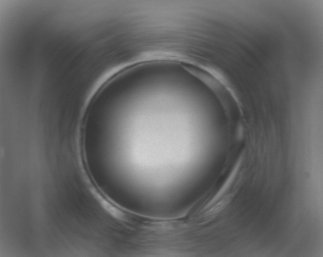 X0000054381438200508121555