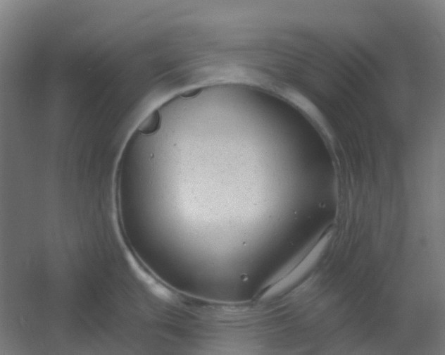 X0000054381439200508121555