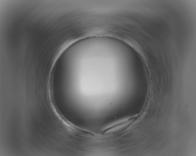 X0000054381440200508121555