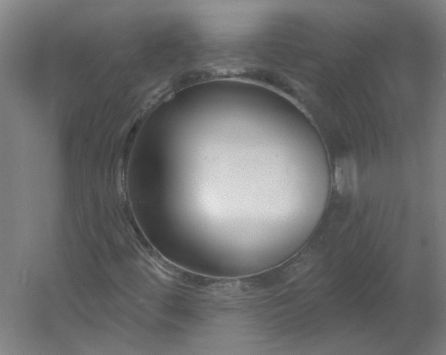 X0000054381444200508121554