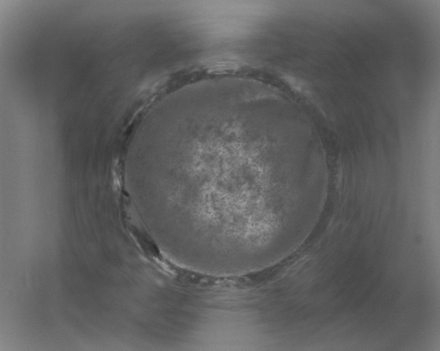 X0000054381445200508121554