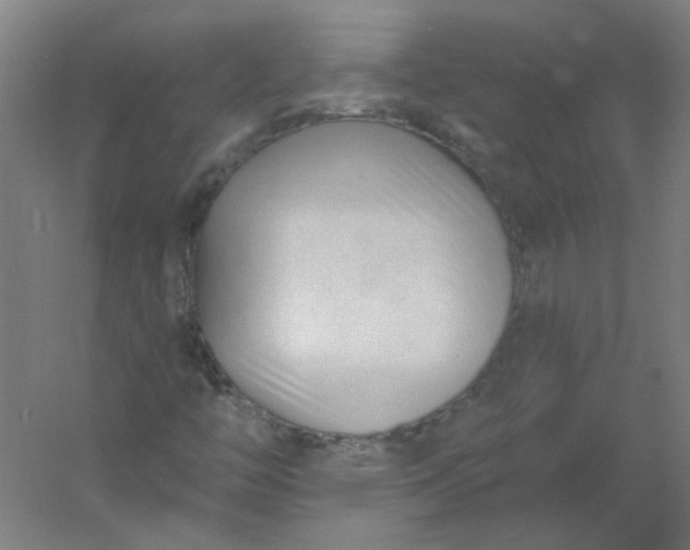 X0000054381446200508121554