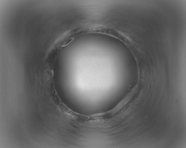 X0000054381447200508121554