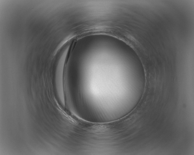 X0000054381450200508121554