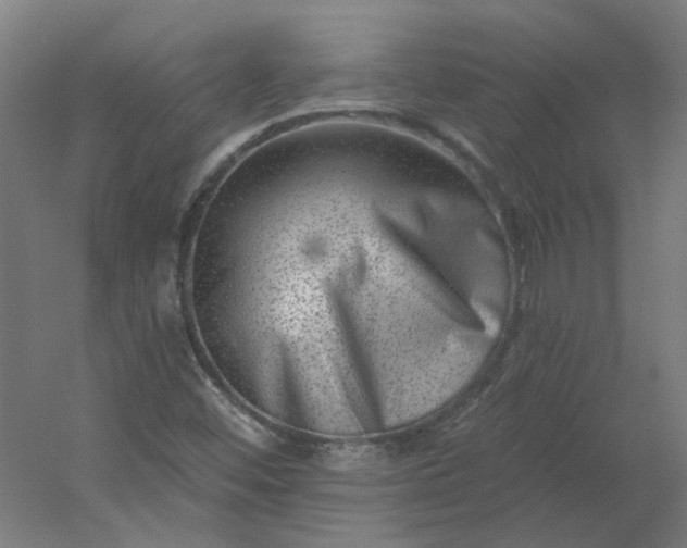 X0000054381452200508121554