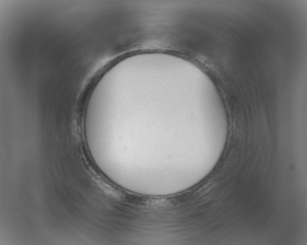 X0000054381454200508121554