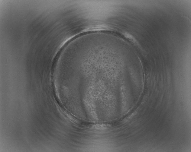 X0000054381457200508121554