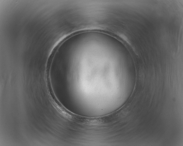 X0000054381460200508121554