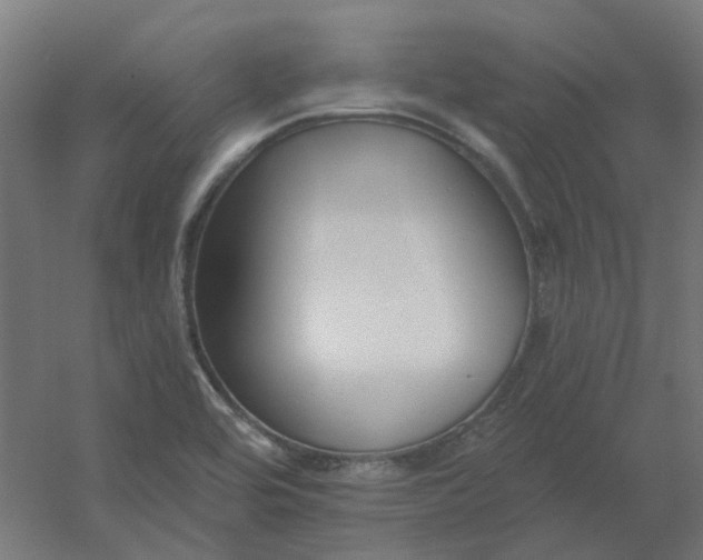 X0000054381464200508121554
