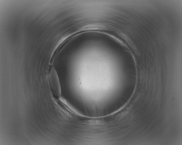 X0000054381465200508121554