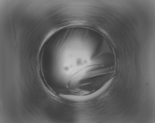 X0000054381467200508121554