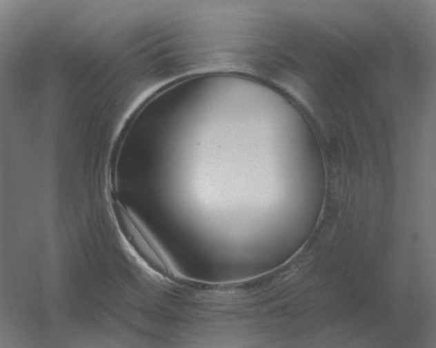 X0000054381468200508121553