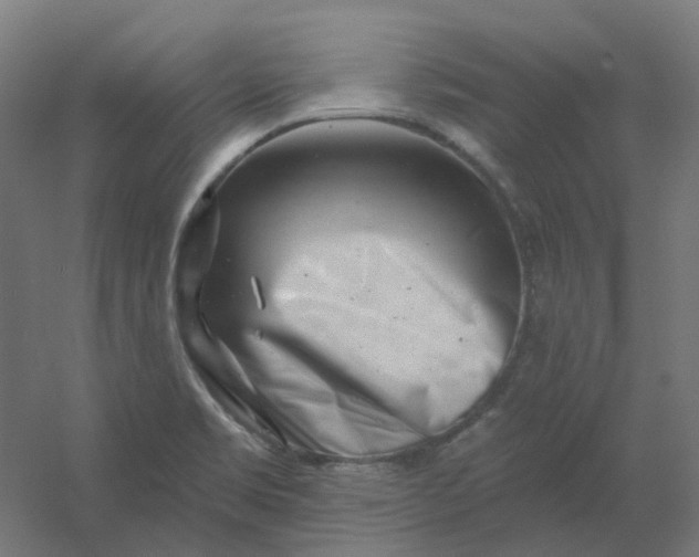 X0000054381469200508121553
