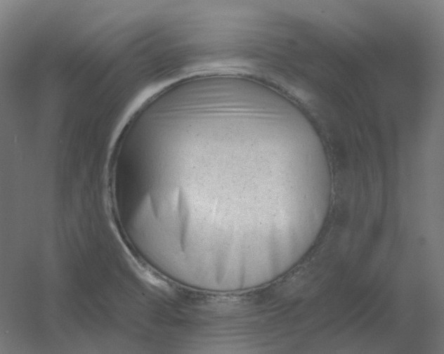 X0000054381470200508121553