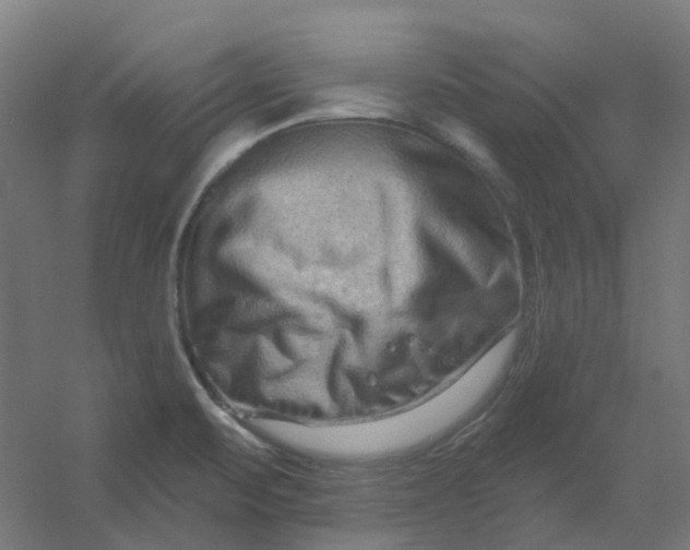 X0000054381471200508121553