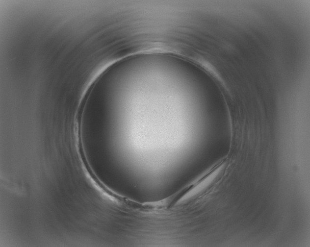 X0000054381476200508121553