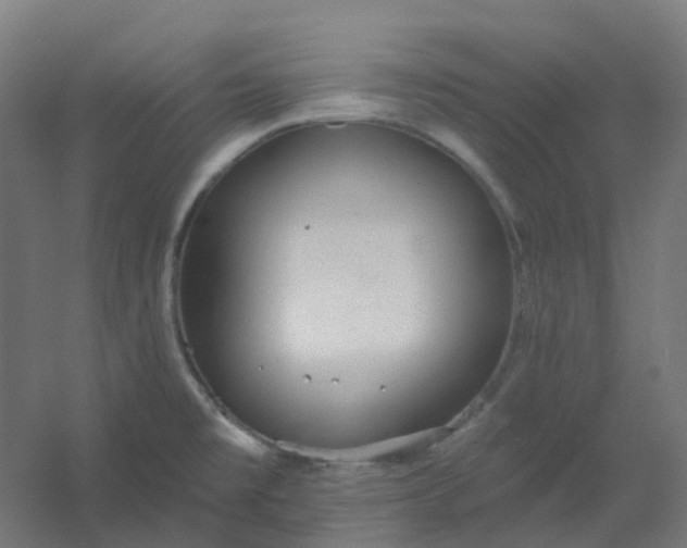 X0000054381477200508121553