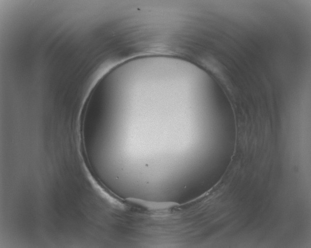 X0000054381479200508121553
