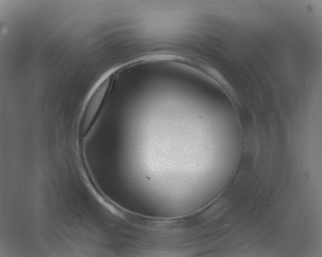 X0000054381484200508121553