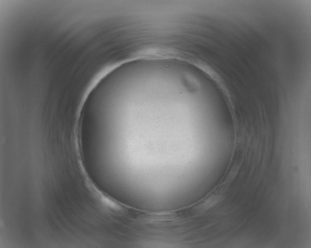 X0000054381486200508121553
