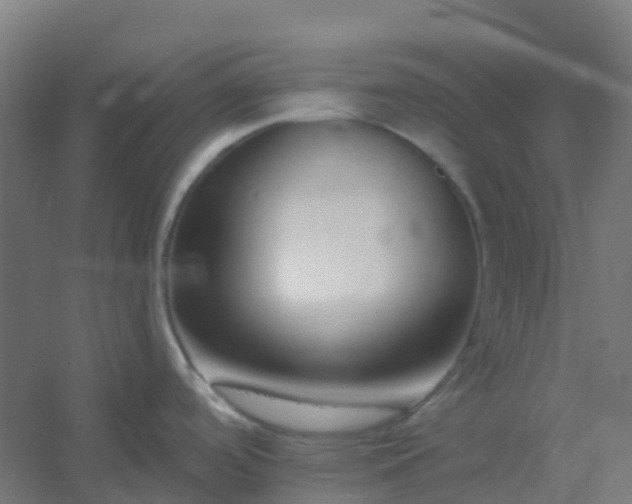 X0000054381488200508121553