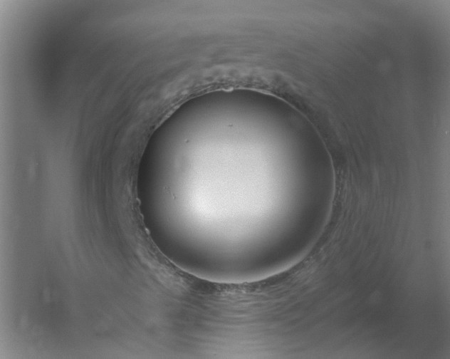 X0000054381489200508121552