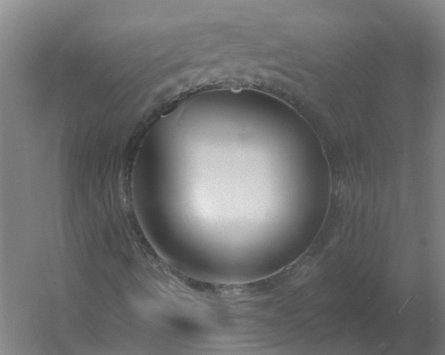 X0000054381490200508121552